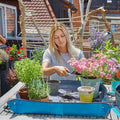 Oberteilfunterlage zum Umpflanzen im Garten