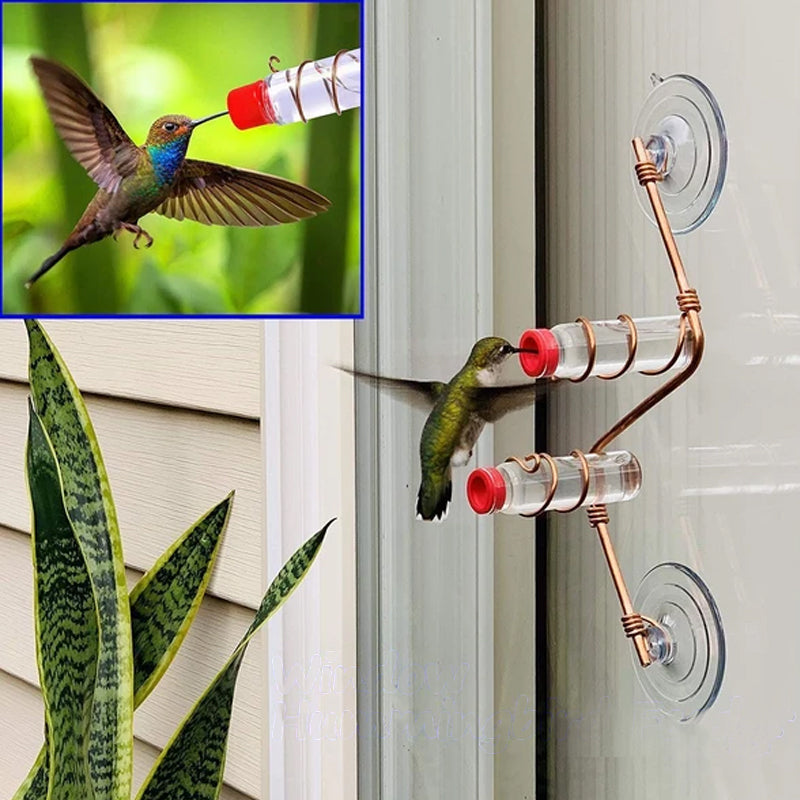 Fenster-Kolibri-Futterstation