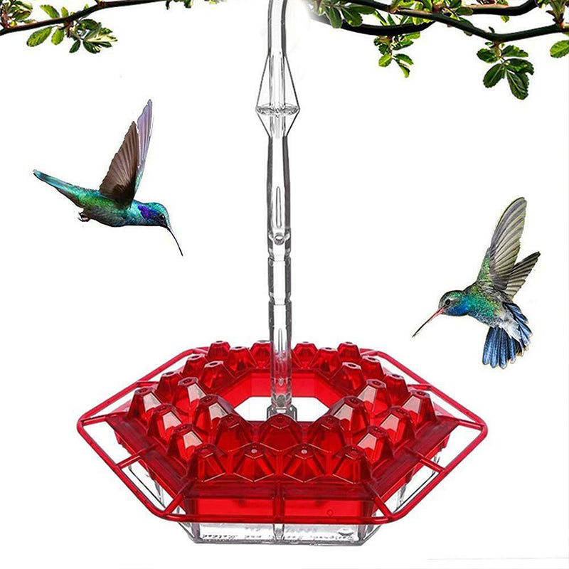 Neuer Kolibri-Futterspender