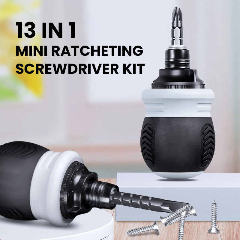 13-in-1 Mini-Ratschenschraubendreher-Set