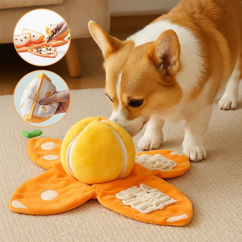 Orangefarbenes Plüsch-Hundespielzeug zum Versteckspiel