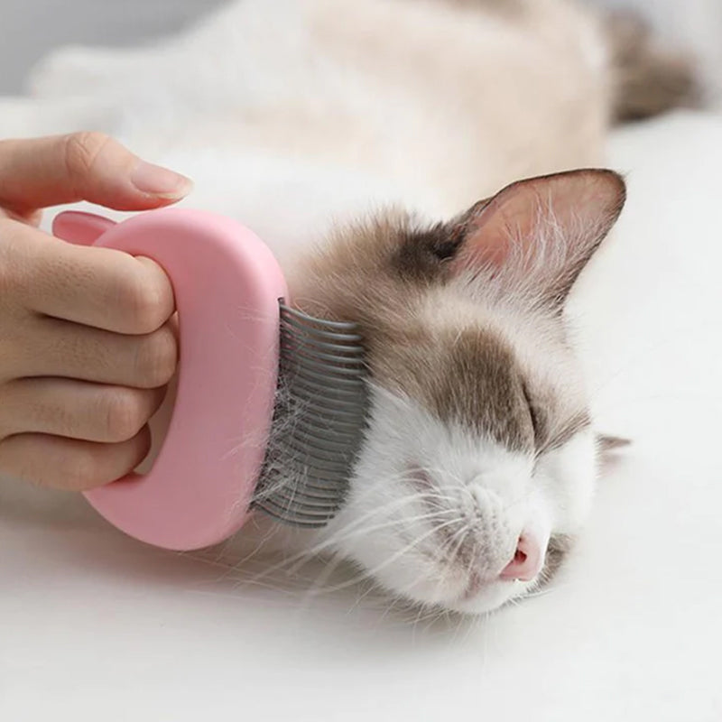 Massierender Muschelkamm zur Haarentfernung bei Katzen