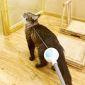 Haustier Teleskop-Laser-Stichstab