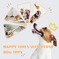 Orangefarbenes Plüsch-Hundespielzeug zum Versteckspiel