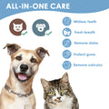 Zahnreparaturset für Katzen und Hunde