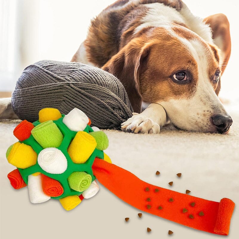 Kauspielzeug für Hunde Zweitbild