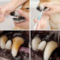 Zahnreparaturset für Katzen und Hunde