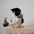 Verbesserter simulierter zwitschernder Vogel