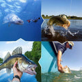 Bionisches Schwimmköder-Set