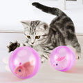 Hamster-Laufball-Spielzeug