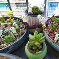 Leuchtende Gartengeist-Miniaturfiguren