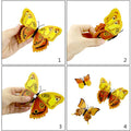 3D-Schmetterlings-Wandaufkleber
