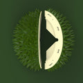 Durian Multifunktionsspielzeug