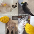 Durian Multifunktionsspielzeug