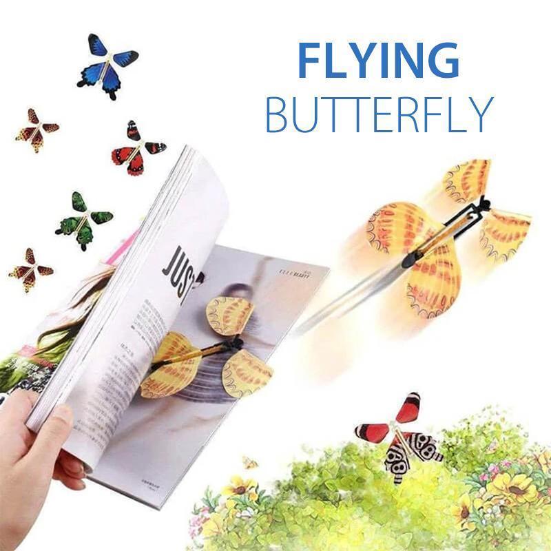 Der magische fliegende Schmetterling Hauptbild