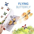 Der magische fliegende Schmetterling