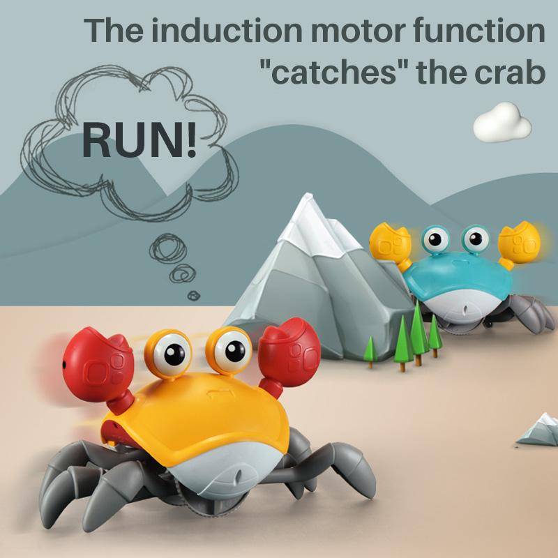 Kriechendes Krabbenspielzeug 🦀