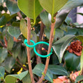 Praktischer Gartenpflanzenhalter (50 Stück)