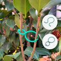 Praktischer Gartenpflanzenhalter (50 Stück)
