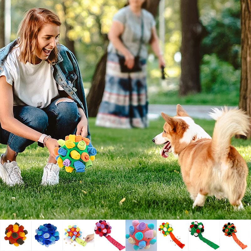 Kauspielzeug für Hunde Hauptbild
