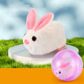 Hamster-Laufball-Spielzeug