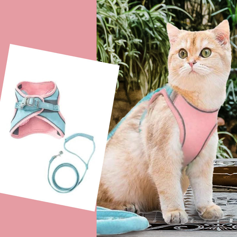 Set mit Weste, Geschirr und Leine für Katzen