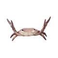 🦀 Krabben-Gewichtheber-Stifthalter