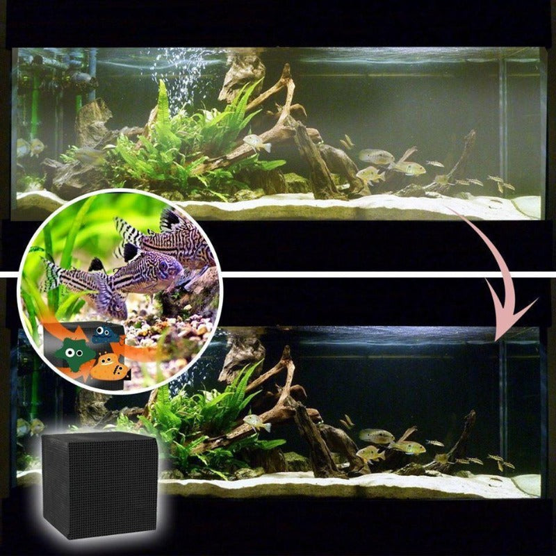 Öko-Aquarium-Wasserreiniger-Würfel