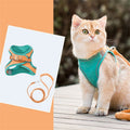 Set mit Weste, Geschirr und Leine für Katzen