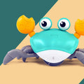 Kriechendes Krabbenspielzeug 🦀