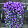 Simulierter violetter Hängekorb