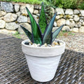 Mini-Oberteilfpflanzen, Dekoration, Gartenornamente
