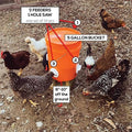 Fütterungsset, Spezialwerkzeuge für die Zucht von Hühnern, Enten, Geflügel, Zubehör