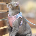 Set mit Weste, Geschirr und Leine für Katzen