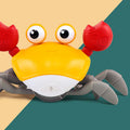 Kriechendes Krabbenspielzeug 🦀