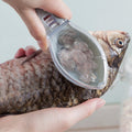 Fischhautschuppenschäler