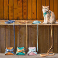 Set mit Weste, Geschirr und Leine für Katzen