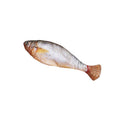 Realistisches Katzenspielzeug mit flatterndem Fisch