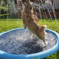 Hundesprinklerbecken 59''x59''