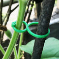 Praktischer Gartenpflanzenhalter (50 Stück)