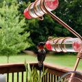 Fenster-Kolibri-Futterstation