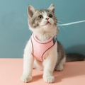 Set mit Weste, Geschirr und Leine für Katzen