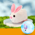 Hamster-Laufball-Spielzeug