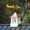 Flugzeug-Wetterfahne