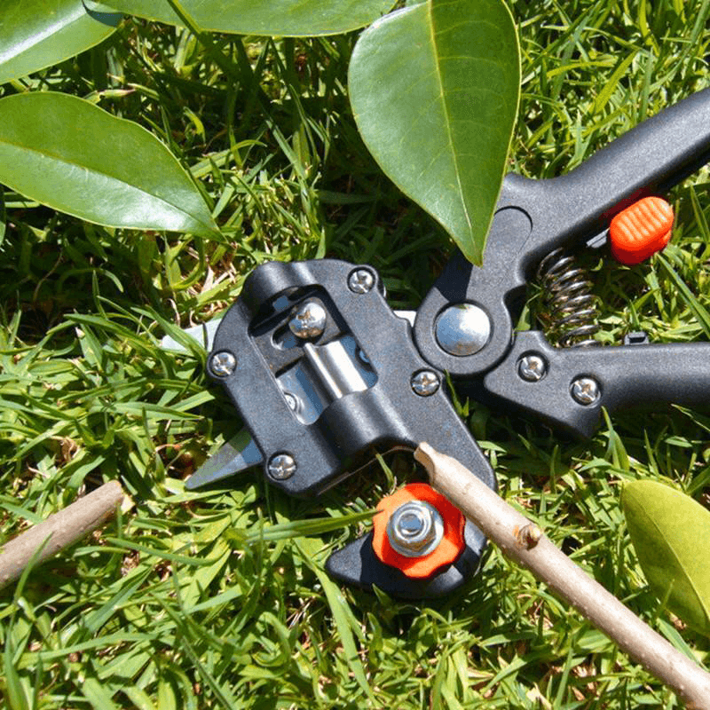 Professionelles Werkzeugset für die Gartenveredelung Zweitbild