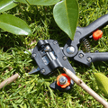 Professionelles Werkzeugset für die Gartenveredelung
