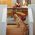 Tragbares Netz-Hundegitter für das Haus