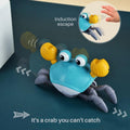 Kriechendes Krabbenspielzeug 🦀