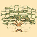 Stammbaum-Genealogie-Diagramm
