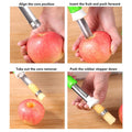 Obstentkerner aus Edelstahl